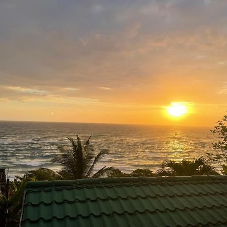 Villa Rasta - Ocean View Bungalows Port Antonio Luaran gambar